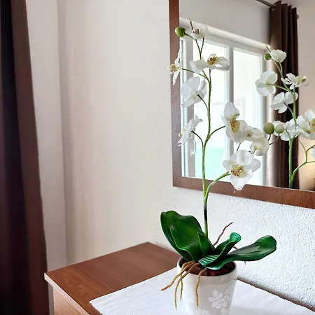 Mari - 150 M From Sea *